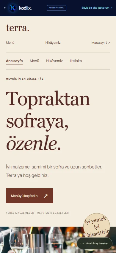 terra telefon görünümü