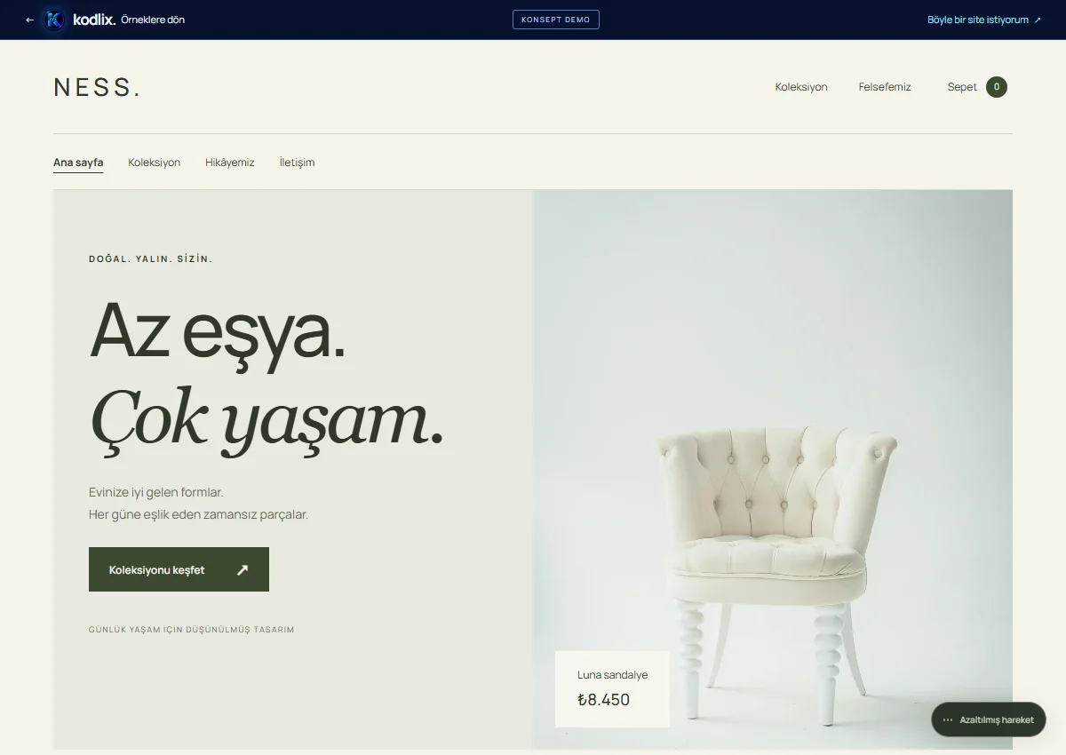 NESS E-ticaret & yaşam web sitesi önizlemesi
